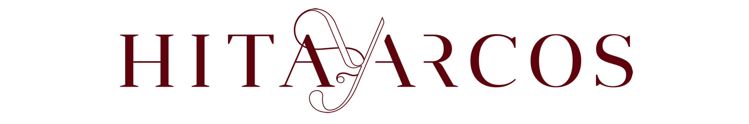 Logo Hita y Arcos